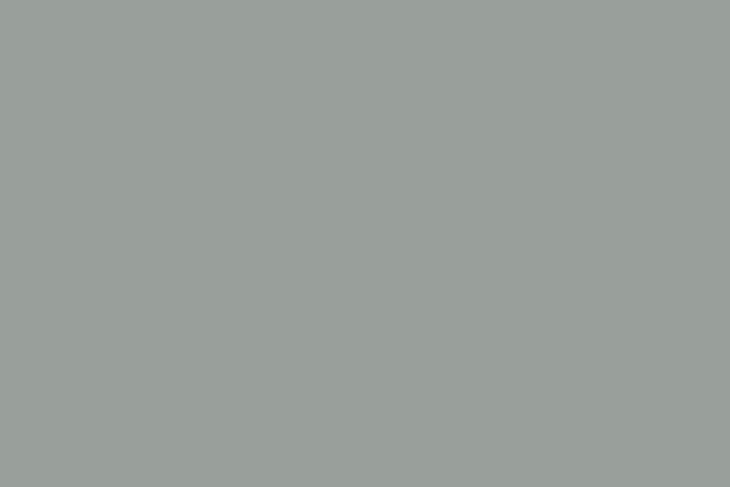 classic gray