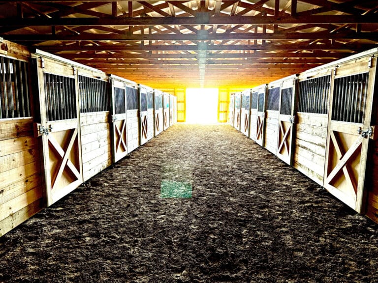 inside of a 40x80 equestrian pole barn